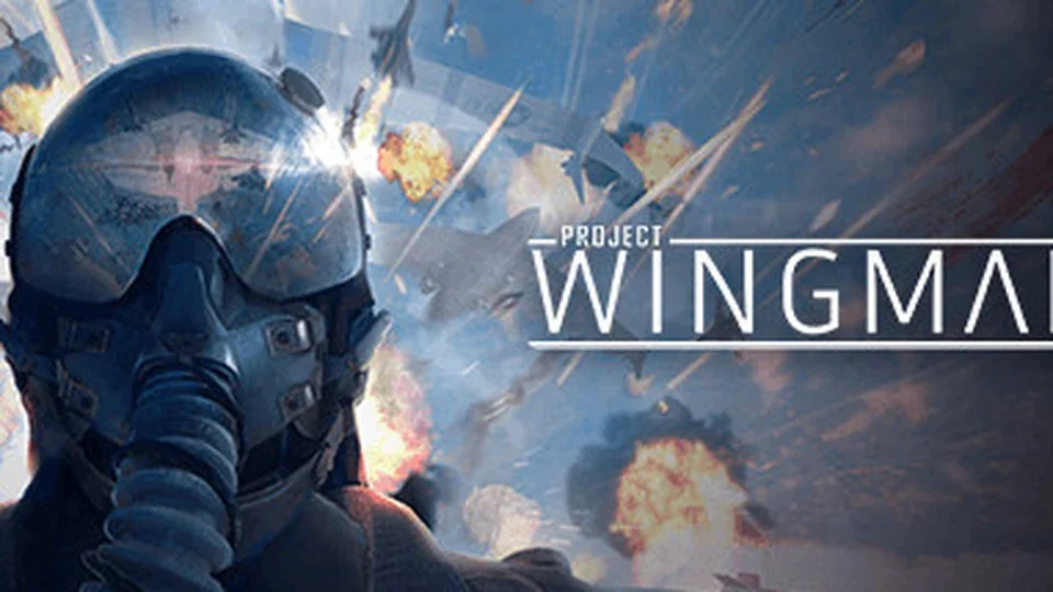 Project Wingman